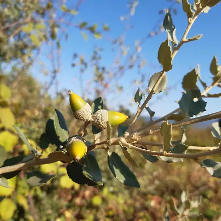 Casa Cristina Σπίτι διακοπών *