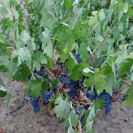 Casa Cristina Σπίτι διακοπών Miranda del Castanar