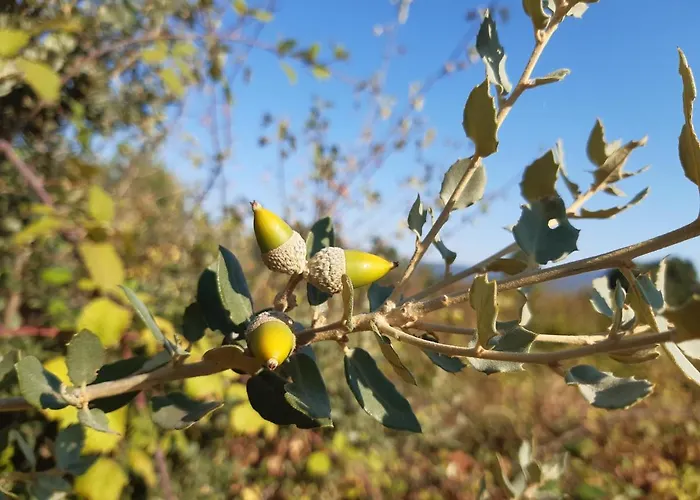 Casa Cristina Dom wakacyjny *