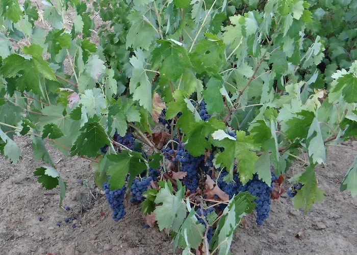 Casa Cristina Dom wakacyjny Miranda del Castañar